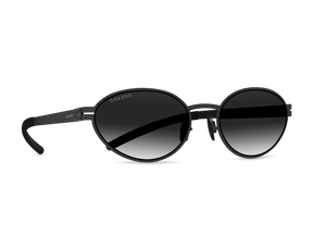 CAPRI / TITANIUM