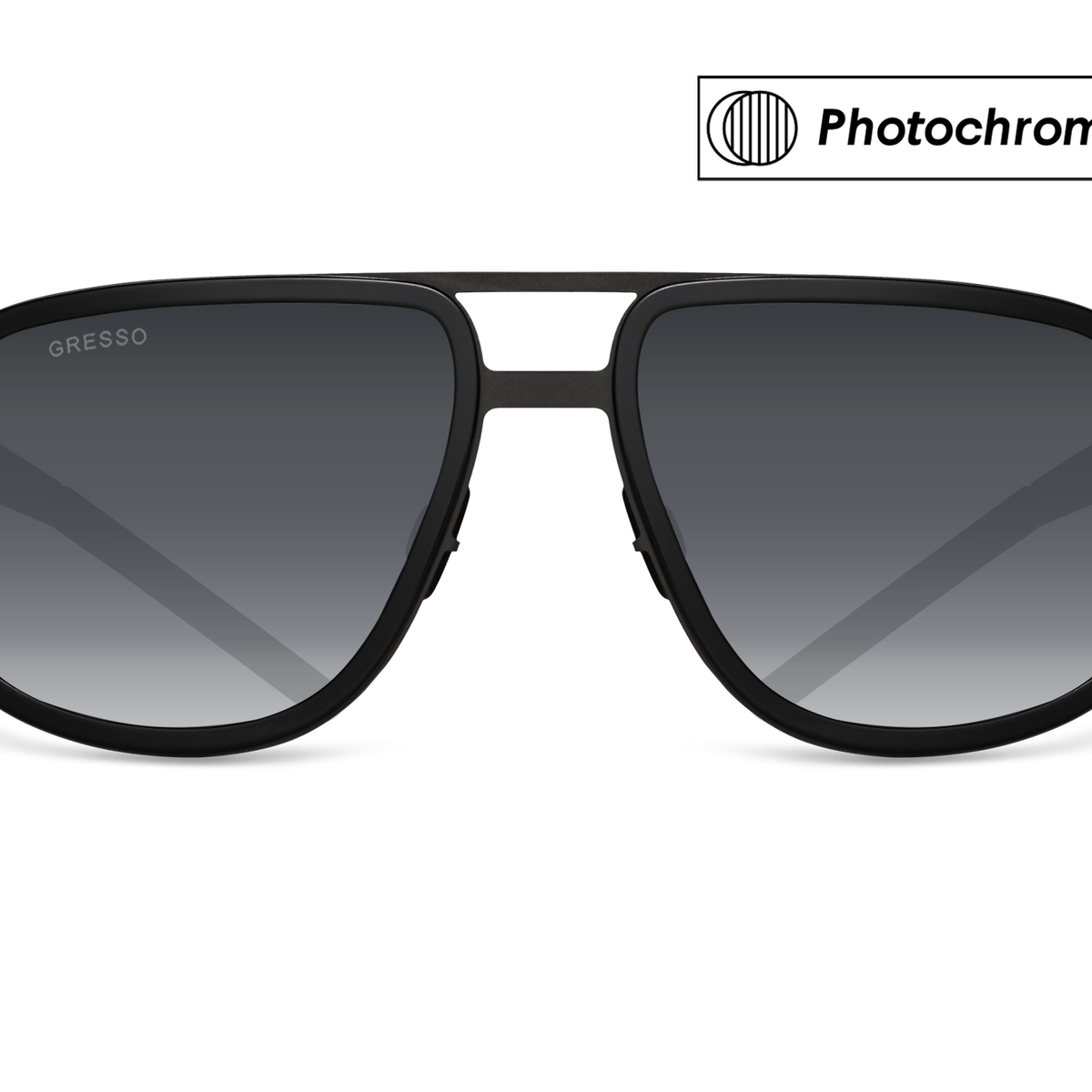 walter goggles WALTER / TITANIUM